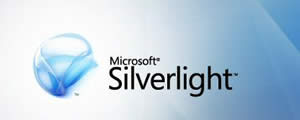 Silver Light Logo